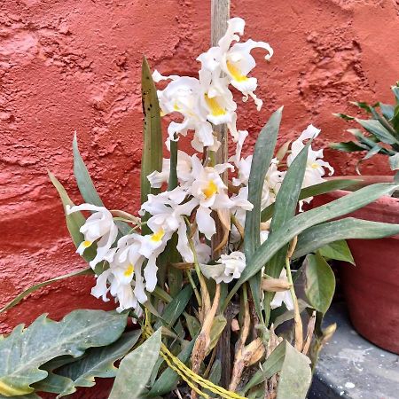 Bhattidanda Fresh & Natural Homestay دهوليكهيل المظهر الخارجي الصورة