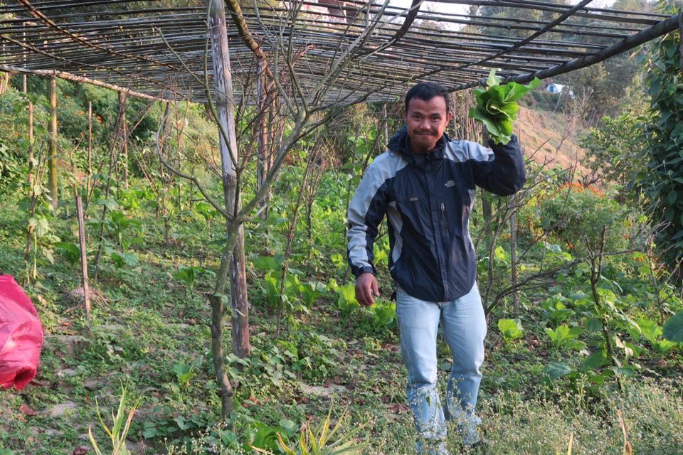 Bhattidanda Fresh & Natural Homestay دهوليكهيل المظهر الخارجي الصورة
