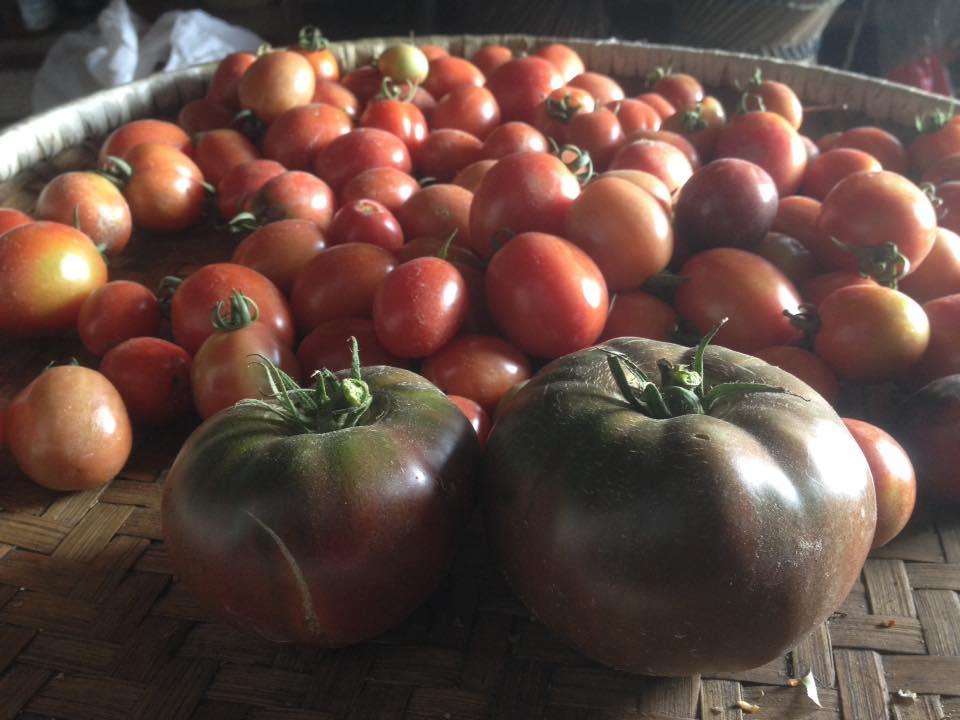 Bhattidanda Fresh & Natural Homestay دهوليكهيل المظهر الخارجي الصورة