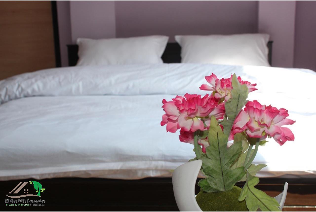 Bhattidanda Fresh & Natural Homestay دهوليكهيل المظهر الخارجي الصورة