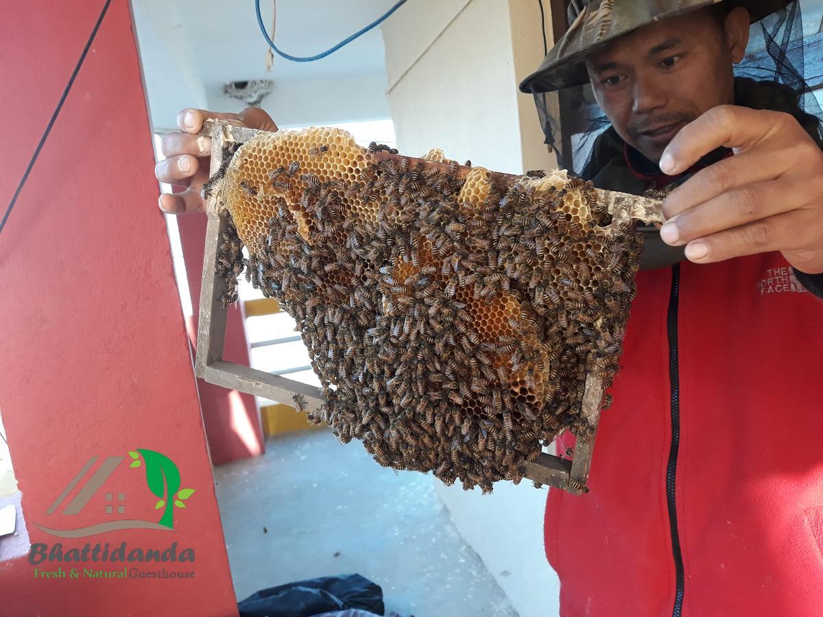 Bhattidanda Fresh & Natural Homestay دهوليكهيل المظهر الخارجي الصورة